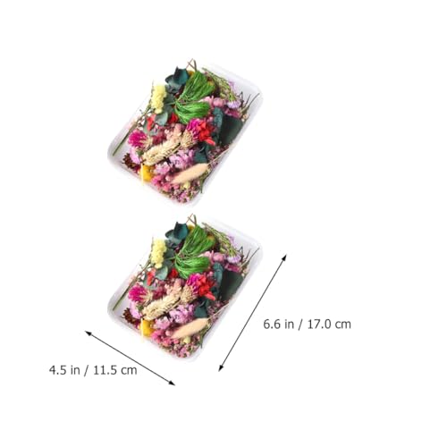 Flores secas naturales para manualidades, 6 cajas surtidas miniatura 2