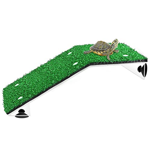 Yeeda Plateforme de tortue, accessoires pour reptile grenouille Terrapin, rampe d'herbe, aménagement paysager