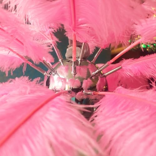 Image of Harold Electricals Modern Pink Ostrich Plumes Chandelier |Creative Feather Dulight Ceiling Pendant Light for Bedroom Living Room Dining Area Cafe Hotel Photography Prop - Bulb Included