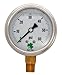 Zenport LPG60 Zen-Tek Glycerin Liquid Filled Pressure Gauge, 60 PSI, Box of 10