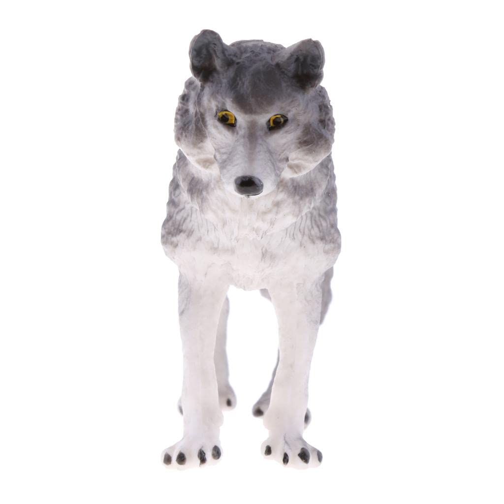 Enakshi (LABEL) Lifelike Nature Wild Animal Model Figurine Action Figures Kids Playset Toy Gray Wolf #2 (B0D7ZT9QFJ) Amazon Price History, Amazon Price Tracker