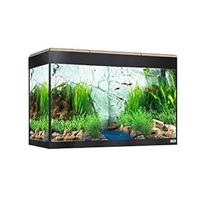 Fluval Kit de Acaurio Roma con Iluminación LED, Color Roble, 125 L