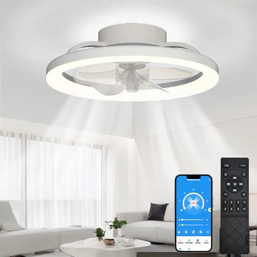 EKDADL 40CM Ventilador de Techo con Luz Silencioso Reversible Plafon Ventilador Techo con Luz 0%-100% Regulable Inteligente Distancia & APP Tiempo 2H