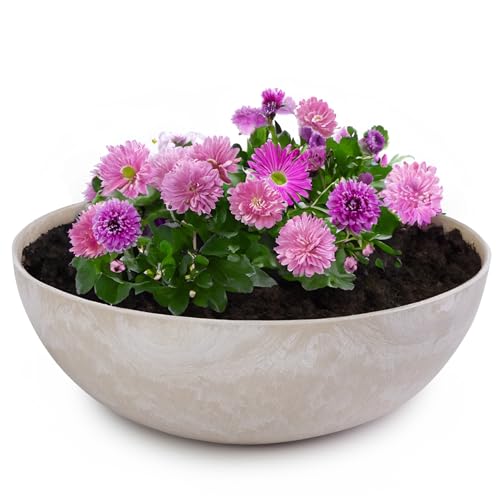 matches21 HOME & HOBBY Vaso per piante per esterni in colori sabbia marmorizzati 37 x 10,5 cm come vaso per fiori resistente agli agenti atmosferici