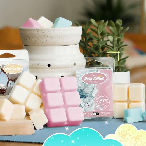 SoulOrigin Sommer duftende Wachs Schmelzen, duftende Soja Wachs Würfel Geschenk-Set für Wachs wärmer-Meeresbrise, Kokosnuss, Pina Colada, rosa Strand, Ananas, Wassermelone, 8x2.5oz