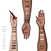 Nudestix Magnetic Luminous Eye Color – 4-in-1 Cream Eyeshadow Stick, Eyeliner, Primer & Highlighter | Long-Wear, Waterproof Satin Finish | Vegan & Cruelty-Free Eye Makeup, Shade: Immortal