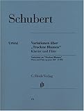  Variationen über \'Trockne Blumen\' e-moll op.post 160 D802. Flöte, Klavier