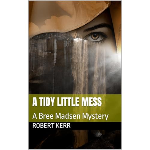 A Tidy Little Mess Audiolibro Por Robert Kerr arte de portada