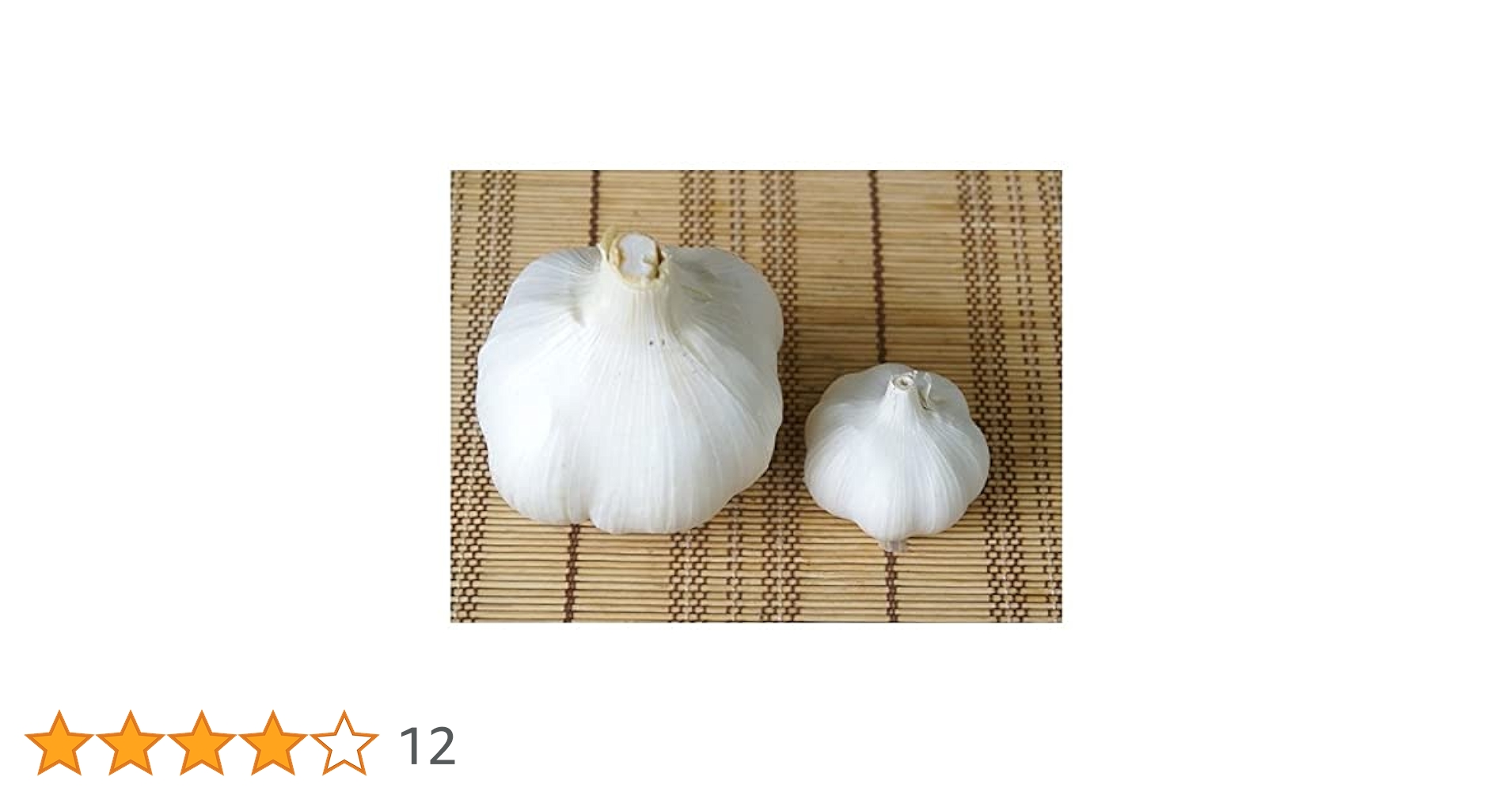 まさやんさま　ジャンボにんにく 15キロ 鹿児島産じゃんぼにんにく種球 ジャンボにんにく種球 ジャンボ