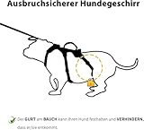 Huntboo Ausbruchsicheres Hundegeschirr, welpengeschirr, Vollständig Reflektierendes Geschirr mit Griff, Wasserdicht, Verstellbare Weste für Kleine Hunde, die Gehen, Trainieren(Schwarz, S)