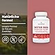 Bandini® Fermentierter Roter Reis aus Monascus purpureus - 180 leicht zu schluckende Tabletten (6 Monate) 99,7mg Red Rice - 2,9mg Monacolin K - Ohne Zusatzstoffe, Vegan, GVO-frei, Laborgeprüft
