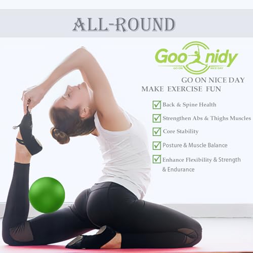 Image of PL-0003 Soft Exercise Ball, Anti-Burst Yoga Ball Chair Supports 2200lbs PL-0003
