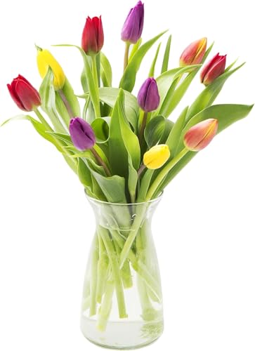 Image of KaBloom-10 Assorted Tulip Bouquet,Flowers for Valentine, Mother's Day