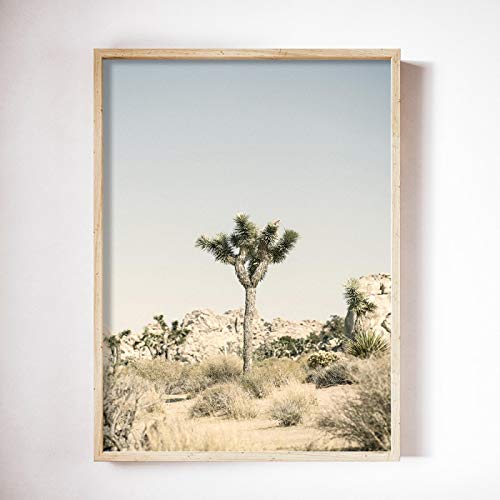Cuadros de cactus verdes en lienzo de 50x75cm para salon 2