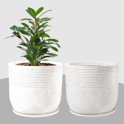 Image of Kuber Industries 2 Pcs Roto Mould German Polymer 20-Inch Extra Large Big Size Flower Pot | Indoor /Outdoor Tree Gamla Planter for Resorts, Hotels, Terrace & Garden | Marble Sunshine - White