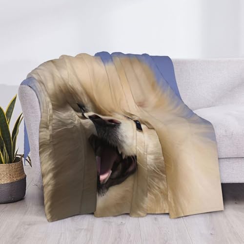 Couverture Poméranien en flanelle douce le cadeau parfait pour les passionnés de chiens