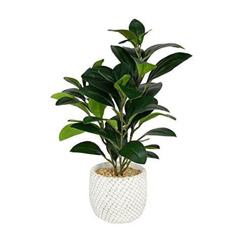 Artificial Rubber Plant 35cm in Geometric White Pot Superior Lifelike Appearance and Touch Decorative Artificial Plants Designed to Add Sophistication with Flora to your Home Cover