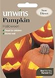Vendemos semillas Portal Cool Paquete de semillas: Unwins calabaza de Halloween 8 sembrar semillas 2020