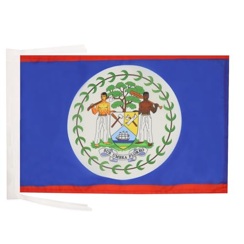 AZ FLAG - Drapeau Belize - 45x30 cm - Pavillon Bélizien 100% Polyester Avec Deux Cordelettes - 20g