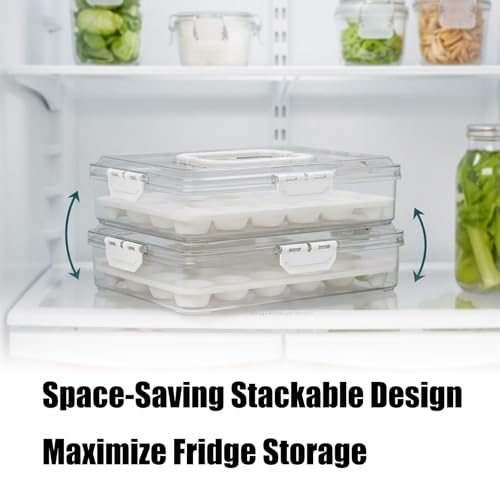 Boîtes de rangement Oocyte premium avec fermeture de sécurité renforcée - 7