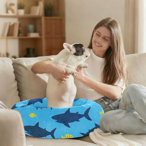 Lit antidérapant pour chien taille M motif requin