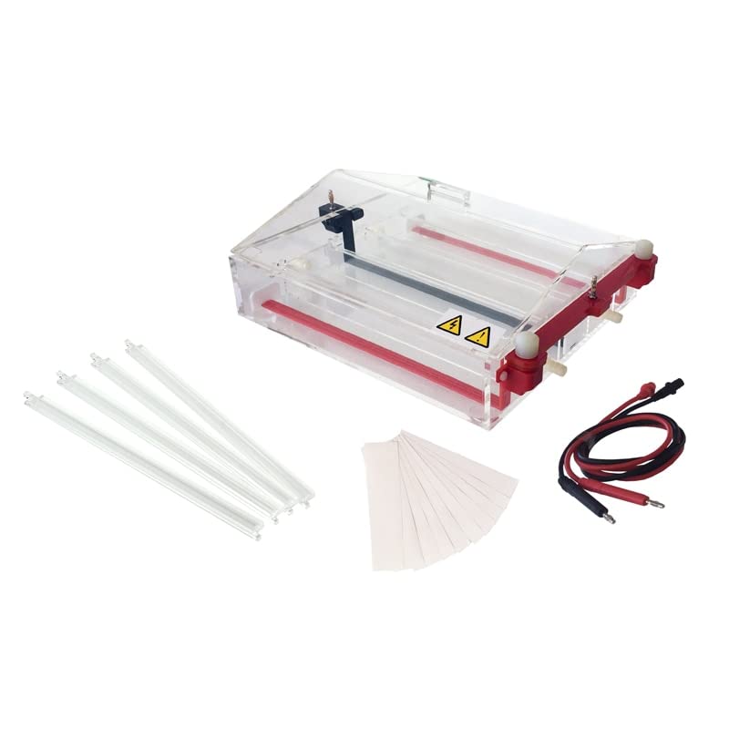 Faithful Horizontal Electrophoresis Tank for Test DNA/RNA