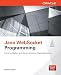 Java WebSocket Programming (Oracle Press)