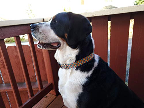Buttonsmith Rainbow Arches Dog Collar - Made In The Usa - Fadeproof Permanently Bonded Printing, Military Grade Rustproof Buckle, Choice Of 6 Sizes #TOP4