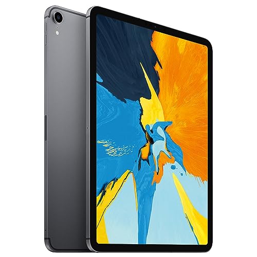 Apple iPad Pro 11 256GB 4G - Space Grau - Entriegelte (Generalüberholt)