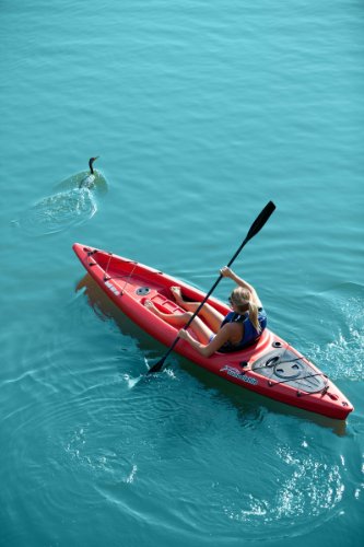 SUNDOLPHIN Sun Dolphin Bali SS Sit-on top Kayak (Red, 12-Feet)