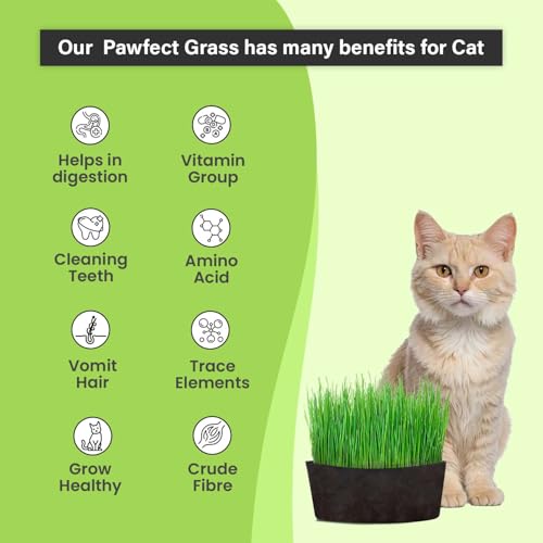 Image of Pawfect Cat Grass Growing Kit with Planter - 2 Plastic Grow Bags, 4 Coco Peat Discs & Wheatgrass Seeds | Ideal for Indoor Cats, Aids Digestion & Reduces Hairballs | Easy-to-Grow