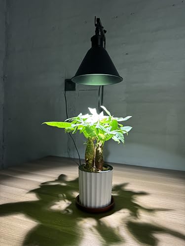 FSLIVING 植物育成スタンド A3-ZWD-SSB-46 の商品画像 7