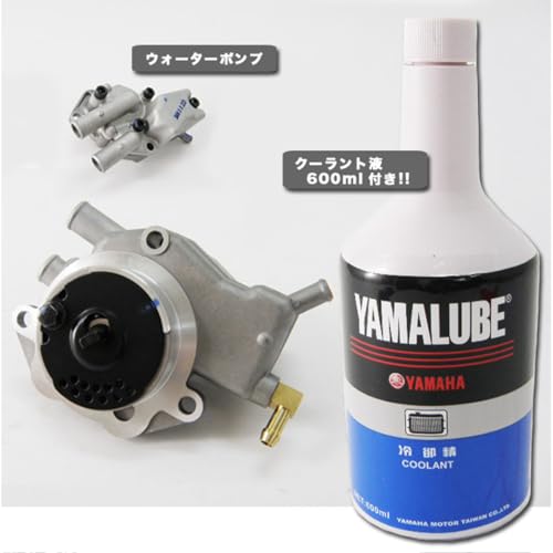 p}n STCN VINO JOG p EH[^[|v GEAR VOX BW'SɂΉ pt [sAi]