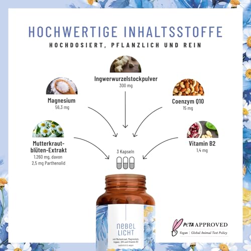 NATURTREU® Nebellicht - Mutterkraut Komplex hochdosiert 1260 mg pro Tag - Komplex mit Ingwer, Magnesium, Coenzym Q10 & Vitamin B2 - natürlich und vegan