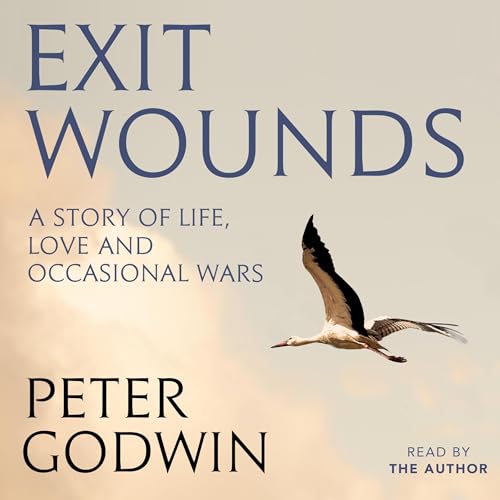 Listen to Exit Wounds by Peter Godwin episode artwork