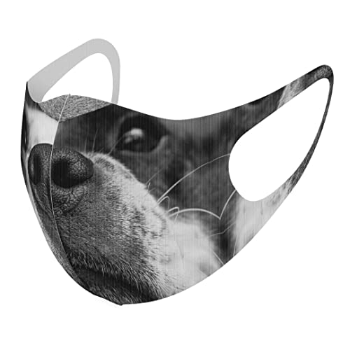 [igsticker] fUC }XN QZbg |GXe 􂦂 z}XN XLTCY 傫 jp 023216  ʐ^ mN