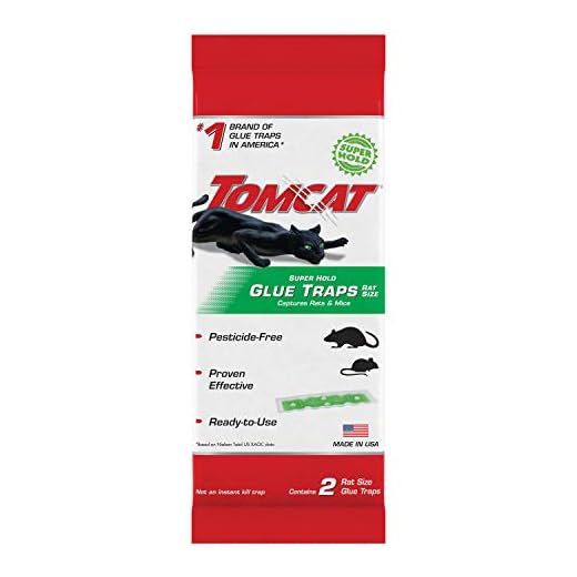 Tomcat Super Hold Glue Traps Rat Size for Rats, Mice, Snakes, Cockroaches, Spiders, and Scorpions, Ready-To-Use, 2 Traps