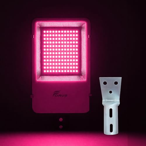 Image of Forus 100W LED Street Light with Clamp, IP66 Waterproof Outdoor LED Street Light, High Lumen 12000lm Pink, Aluminium Body for Road, Parking Lot, Garden & Industrial Outdoor Lighting (1 Pc)