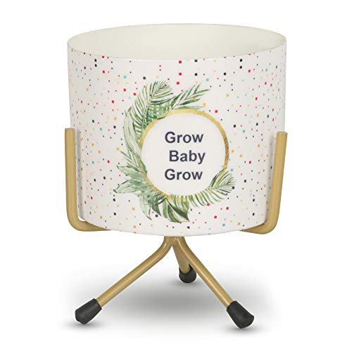 Vudy Small Metal Flower Plant Pot Stand Pots/Mini Flower Plant Containers Indoor Plant Holder Modern Style Idea (Plants not Included) (Multicolor(DesignA))