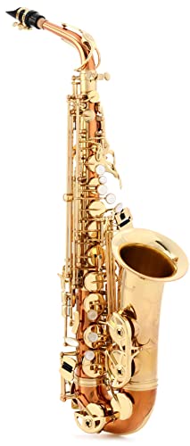 Selmer AS411