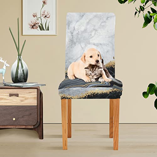 Universal Dining Chair Cover 4-Piece Set, Black White Gold Marble Removable Washable Dining Chair Slipcovers Protective Cover For Home Party Decor #TOP4