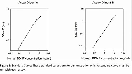 K4788-100 - 100 Assays - BDNF (Human) Elisa Kit, BioVision - Each