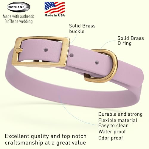 Image of Viper Biothane Heavy Duty Waterproof Dog Collar Strong Coated Nylon Webbing w /Solid Brass Hardware Odor-Proof Easy to Clean High Performance Fits Small Medium or Large Dogs, Pastel Purple