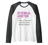 Internal Auditor Worker Jobs And Professions