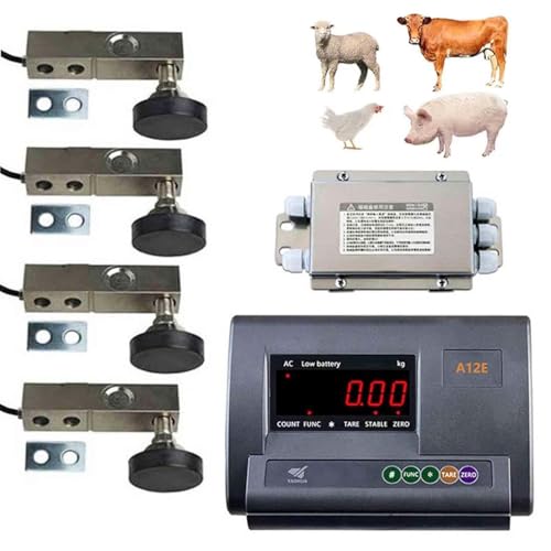 Báscula Ganadera Plataforma Capacidad 5000kg C3 Precisa