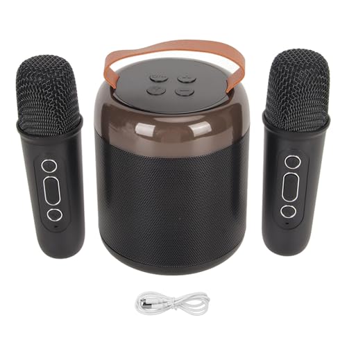Conjunto de 2 microfones, alto-falantes de karaokê requintados 5.3 para quarto para acampamento (#2)