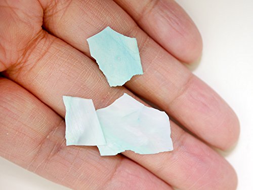 Resinate Sliced Shell 3gm Blue