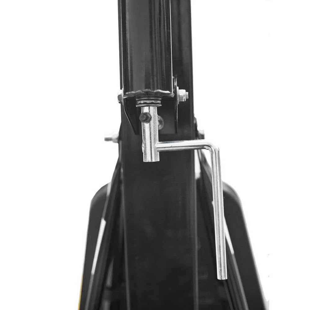 Raycool Canasta de Baloncesto Stars 790 para Adultos | Ajustable 2,30-3,05m, Base Poliuretano 160kg, Aro Amortiguado, Tablero Policarbonato