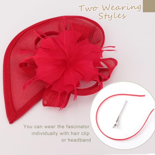 Image of DRESHOW Fascinators Hat Feather Headband Women's Fascinators Tea Party Headwear with Clip Flower Head Band for Girls & Women
