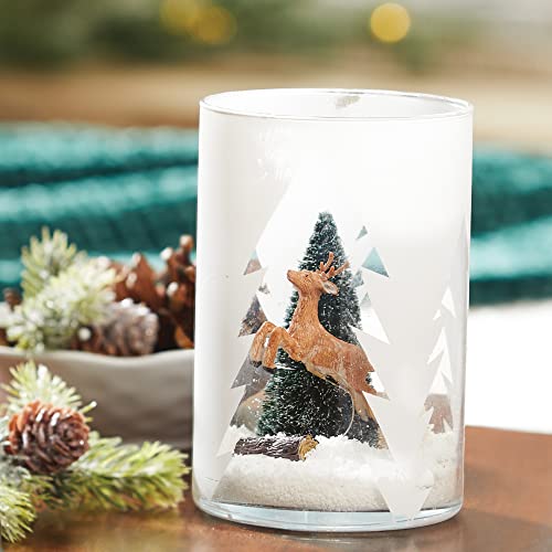 Yankee Candle Balsam & Cedar Scented, Classic 22Oz Large Tumbler 2-Wick Candle, Over 75 Hours Of Burn Time #TOP5